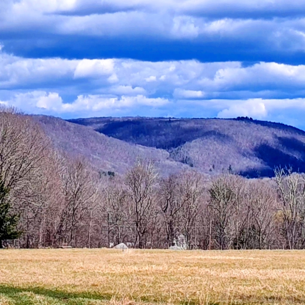 Meet your Posher, RZ